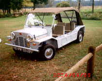 MINI MOKE gt PW125 004.jpg (344262 bytes)